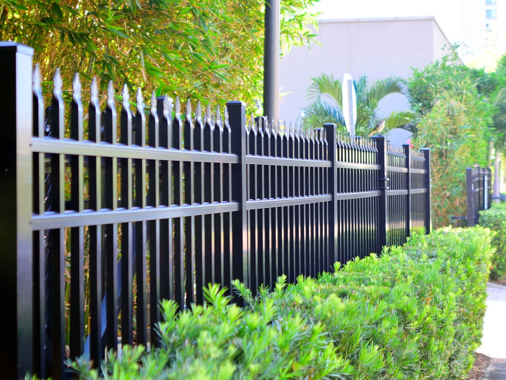 How Tall Can A Fence Be In Los Angeles 