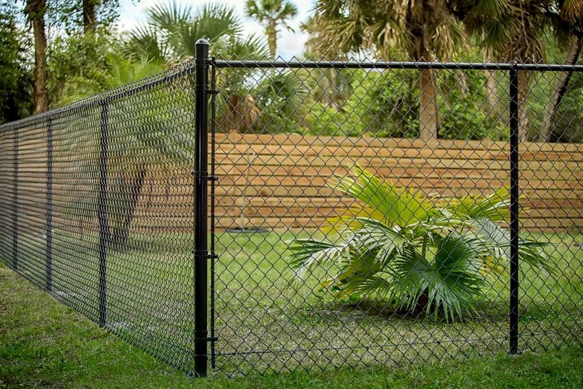 Chain-Link Fences, Los Angeles